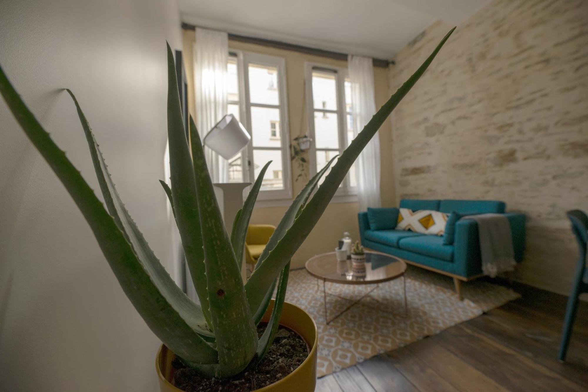 Le Saint-michel Apartment *